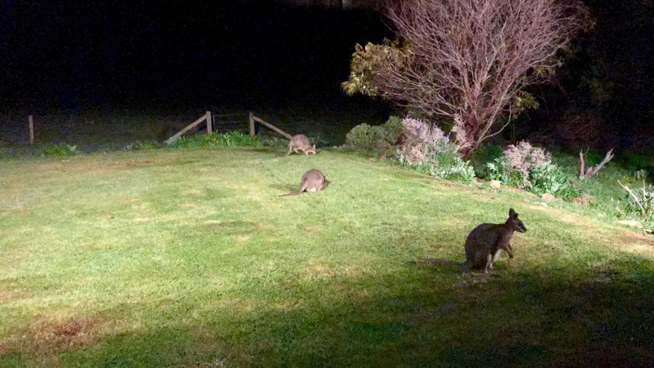 Bee'S Place - 3 Bedroom Home On 10 Acres Of Land With Distant Ocean Views Emu Bay Exterior foto